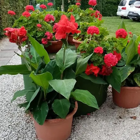 Apartment Am By Interhome *