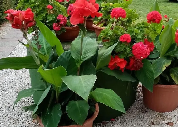 Apartmán Am By Interhome *